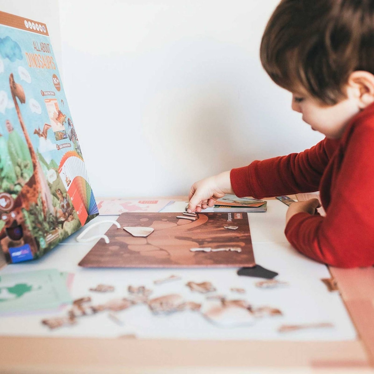 Joc educativ magnetic, mierEdu, Totul despre dinozauri