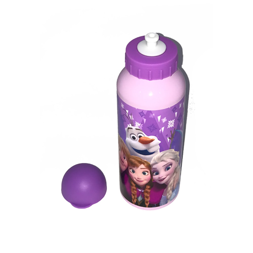Termos din aluminiu Disney Frozen